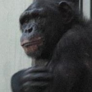 Profile picture for Peter Ott