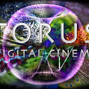 Profile picture for Torus Digital Cinema