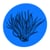 BROMELIAD