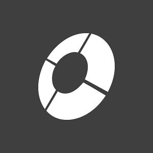 Profile picture for DealerSocket