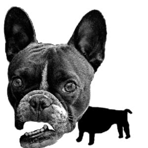 Profile picture for SimonSmoothBalls.com
