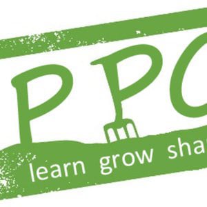 Profile picture for pedalpatch