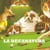 LA DECANATURA