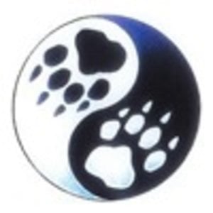Profile picture for Ashfurywind