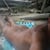 natyoural