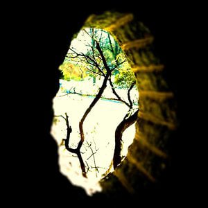 Profile picture for Rheyne