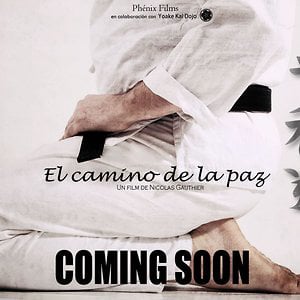 Profile picture for Phénix Films