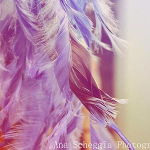 Profile picture for Anna Cronopia