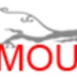 Profile picture for injectionmold