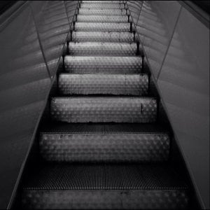 Profile picture for BNW