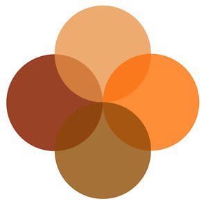 Profile picture for Transition Consciousness