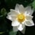 Mindfulness Meditation Centers