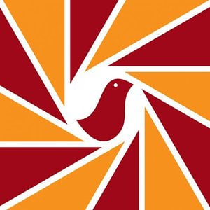 Profile picture for Pigeon Skateboards