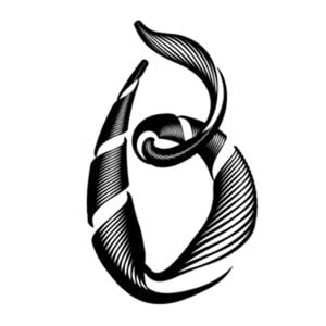 Profile picture for BOX POSTPRODUCTION