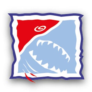 Profile picture for Skualo Esports D'Aventura