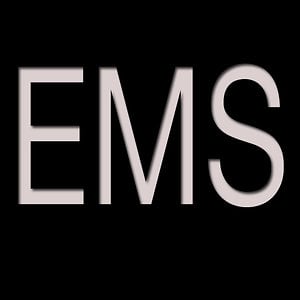 Profile picture for ERIC MINH SWENSON