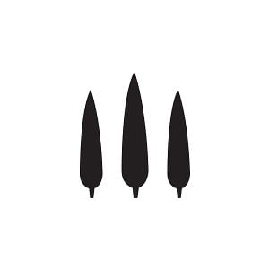 Profile picture for davidstevens.nl