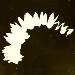 Profile picture for HIMAWARI ∞