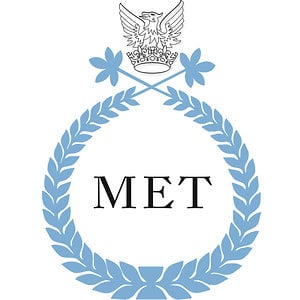 Profile picture for Mihai Eminescu Trust