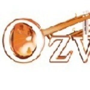 Profile picture for Ozwinds Brass and Woodwind