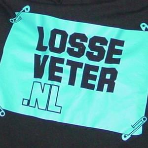 Profile picture for Losse Veter