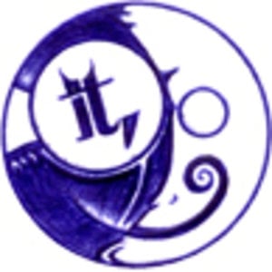 Profile picture for izm