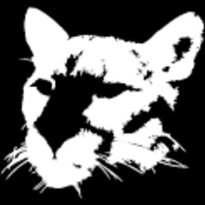 Profile picture for Alek S