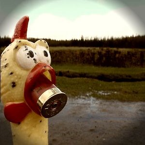 Profile picture for Rob Court