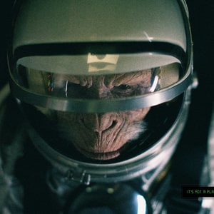 Profile picture for Spacemonkey