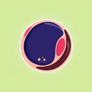 Profile picture for Carmen Angelillo