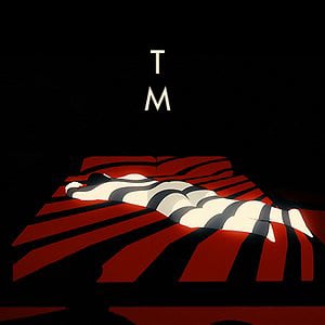 Profile picture for Tal Moskovich