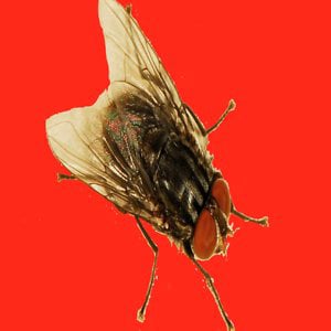 Profile picture for +Billion- Journal