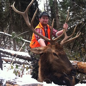 Profile picture for Cody Colbert