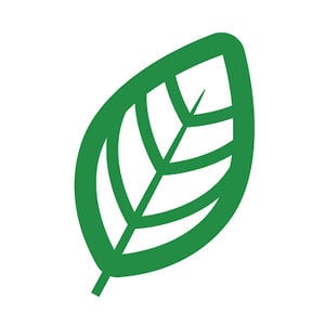 Profile picture for Association Végétarienne - MTL