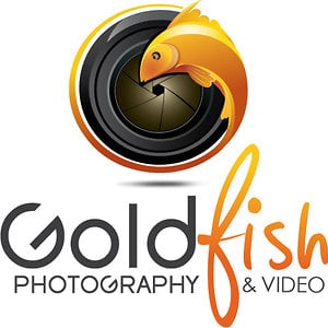 Profile picture for Goldfish Dubai