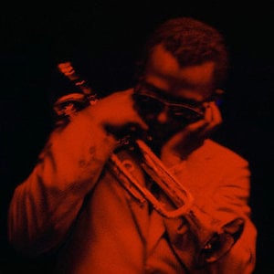 Profile picture for Todd Wilson