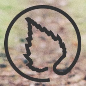 Profile picture for Lastucase