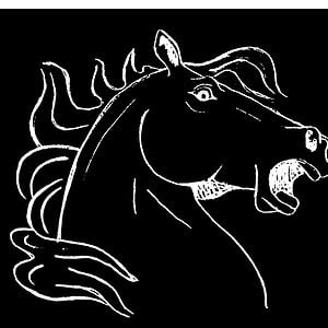 Profile picture for Crazyhorse Films