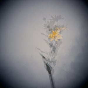 Profile picture for La incubadora