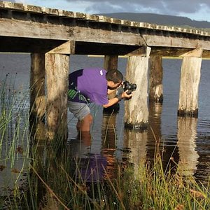 Profile picture for DanEspinoza (NadiesabePro)