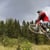Gavin smith