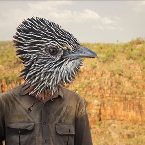 Profile picture for Joey Clarke