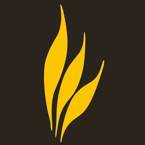 Profile picture for First Fruits of Zion