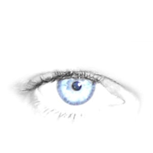 Profile picture for Elke Barbara Bachler