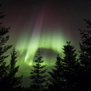 Profile picture for Garðar Ólafsson