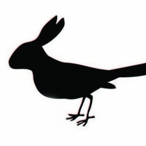 Profile picture for Jasper Léonard