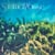 Summer76music