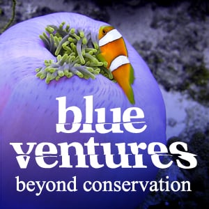 Profile picture for Blue Ventures