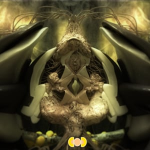 Profile picture for AUJIK