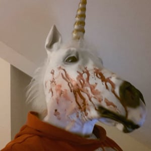 Profile picture for Timothy O'Connell